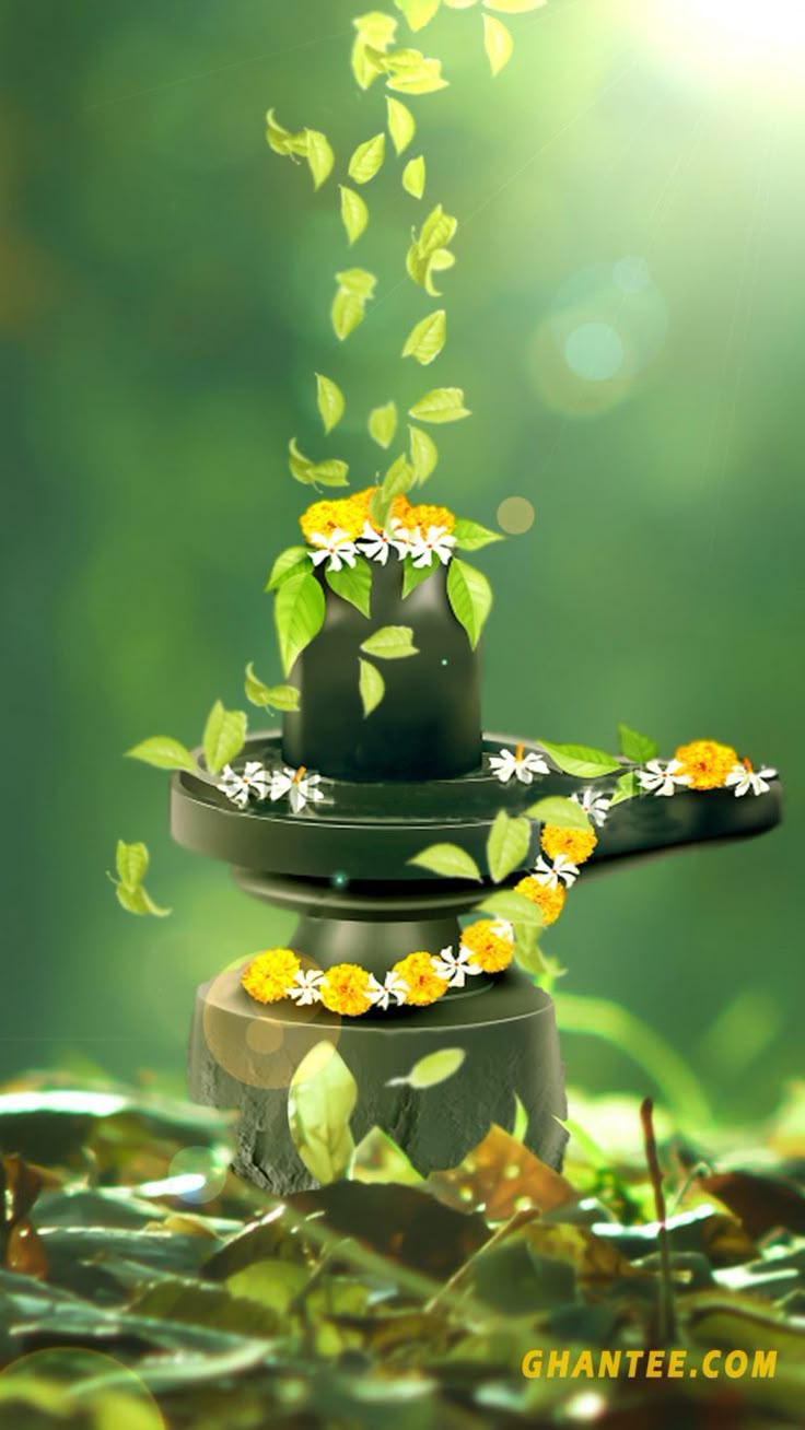 Maha Shivratri Puja